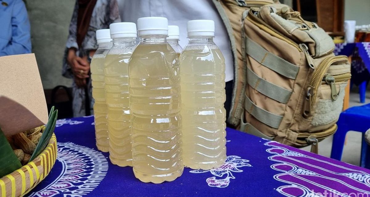 Tuak Bagot: Tradisi, Rasa, Dan Identitas Dalam Segelas Warisan