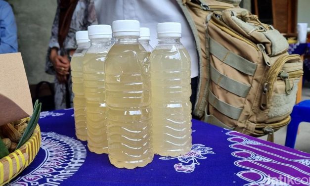 Tuak Bagot: Tradisi, Rasa, Dan Identitas Dalam Segelas Warisan