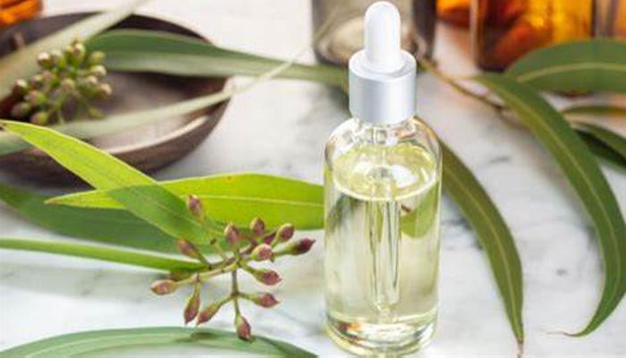 Cajeput Oil